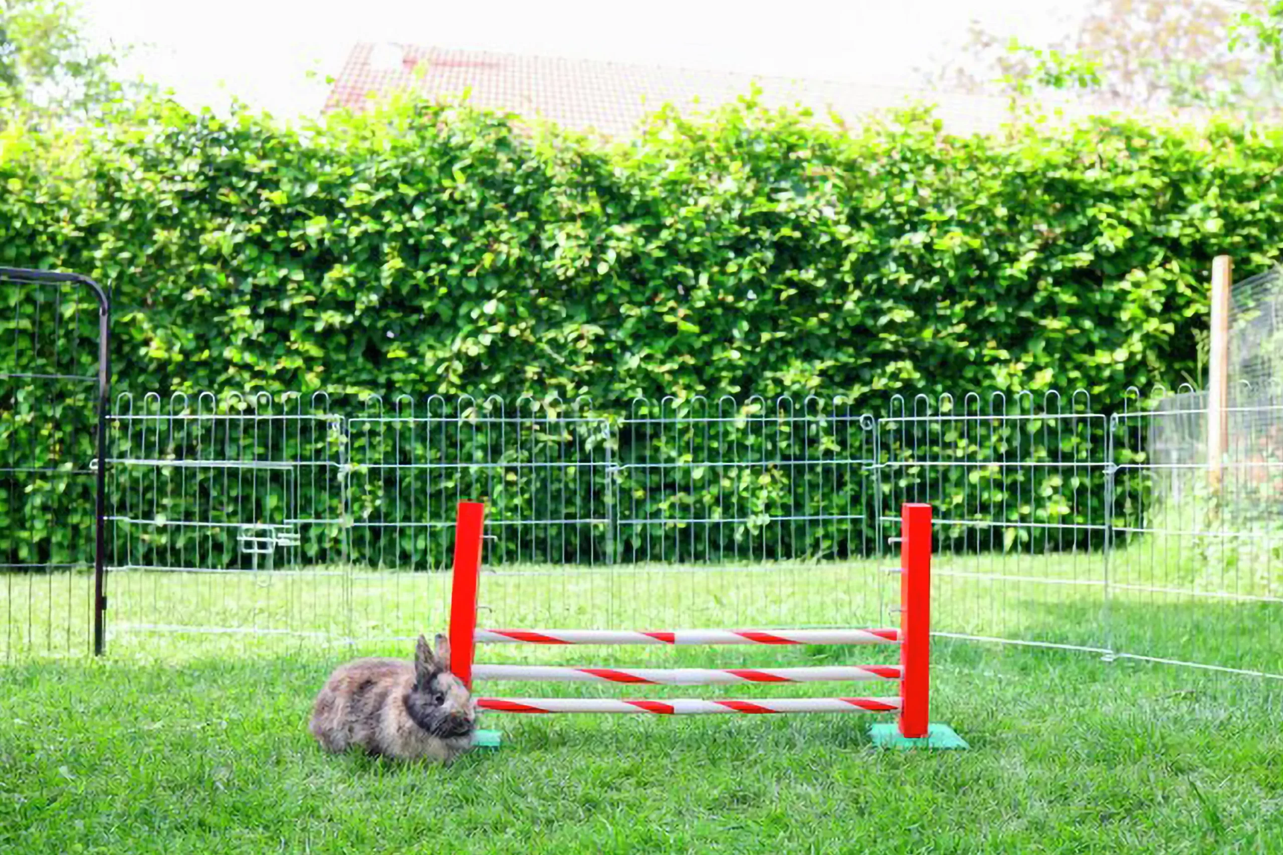 Agilityhinder med 6 bommar Kanin>Kerbl Outlet