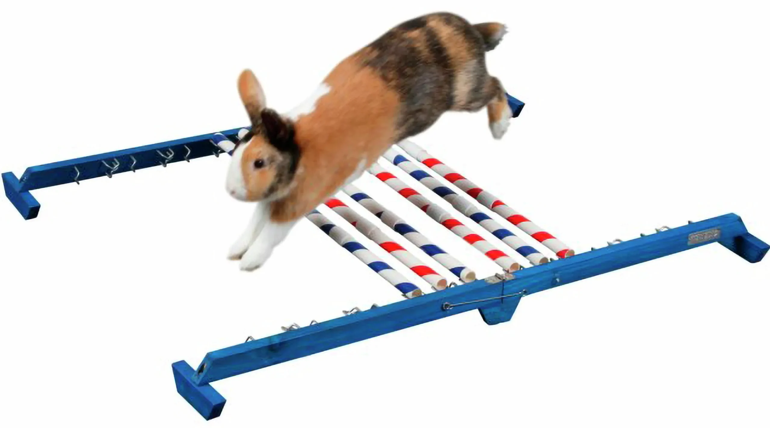 Agility Kombihopp Kanin>Kerbl Discount
