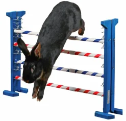 Agility Kombihopp Kanin><noscript><img width=