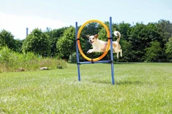 Agility Ring Hopphinder Svart/Orange 78x65x115cm><noscript><img width=