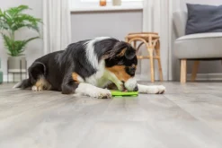Aktiveringsleksak Lick'n'Snack-matta Grön 17cm><noscript><img width=