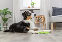 Aktiveringsleksak Lick'n'Snack-matta Grön 17cm><noscript><img width=