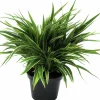 Ampellilja lat. Chlorophytum comosum>Mäster Grön Outlet