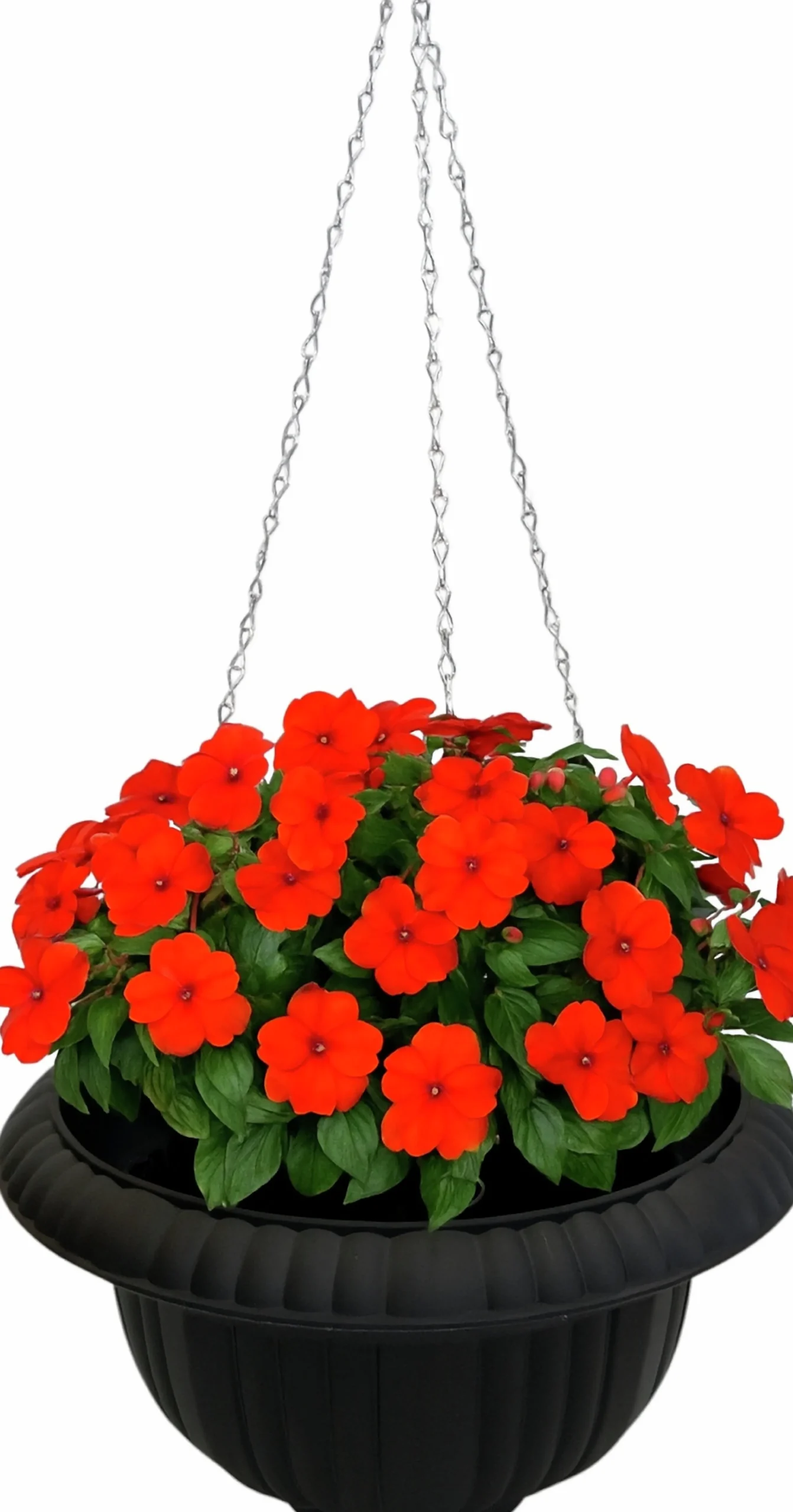 Ampel Pokal Svart Ø38cm>Ventura Outlet