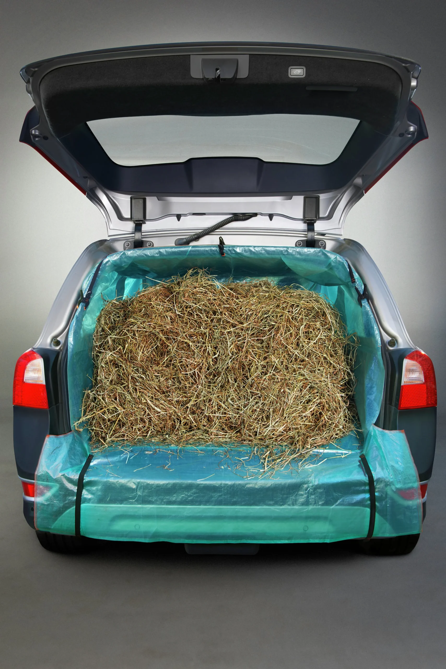 Bagageskydd Express Lastsäck>Zacky Outlet