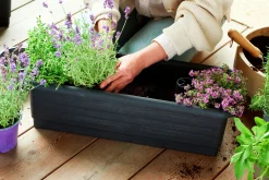 Balkonglåda Botanica Återvunnen plast Svart 80cm>Orthex Outlet