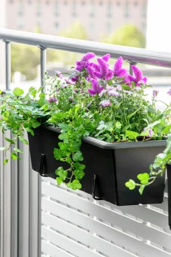 Balkonglåda Botanica Återvunnen plast Svart 100cm>Orthex Outlet
