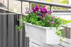 Balkonglåda Botanica Återvunnen plast Vit 100cm><noscript><img width=
