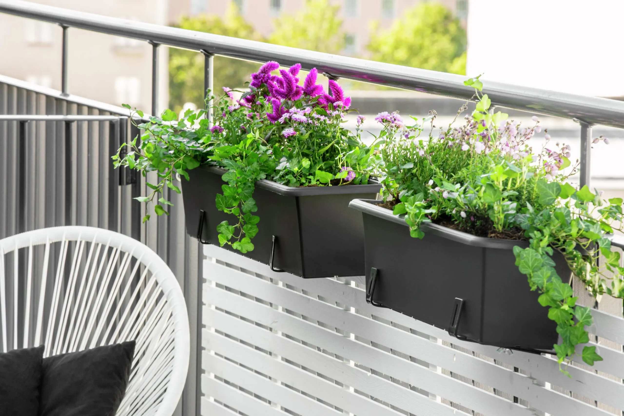 Balkonglåda Botanica Återvunnen plast Svart 60cm>Orthex Sale