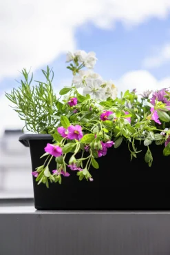 Balkonglåda Botanica Återvunnen plast Svart 60cm><noscript><img width=