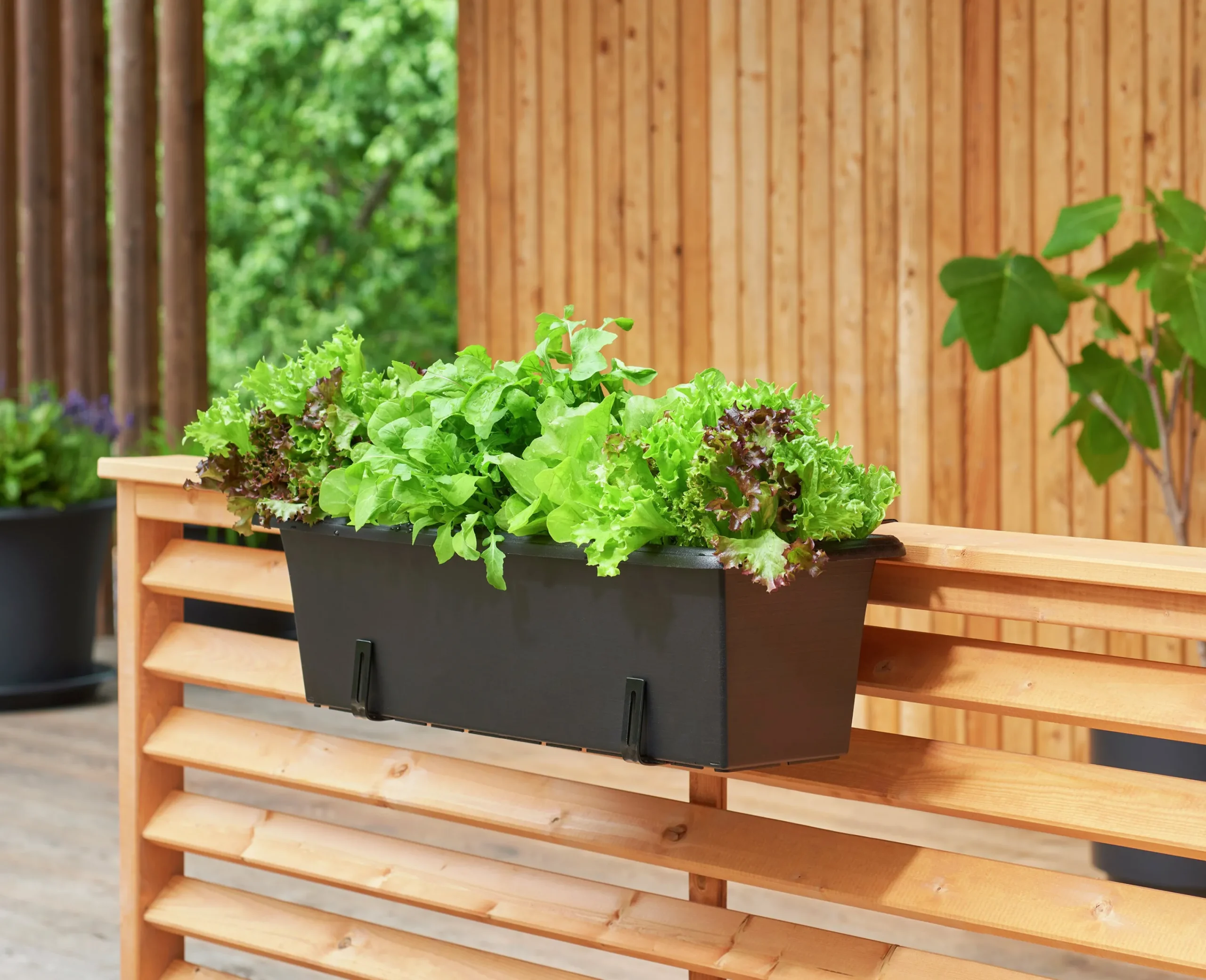 Balkonglåda Botanica Återvunnen plast Svart 60cm>Orthex Sale