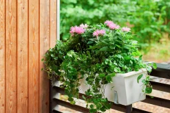 Balkonglåda Botanica Återvunnen plast Vit 80cm><noscript><img width=