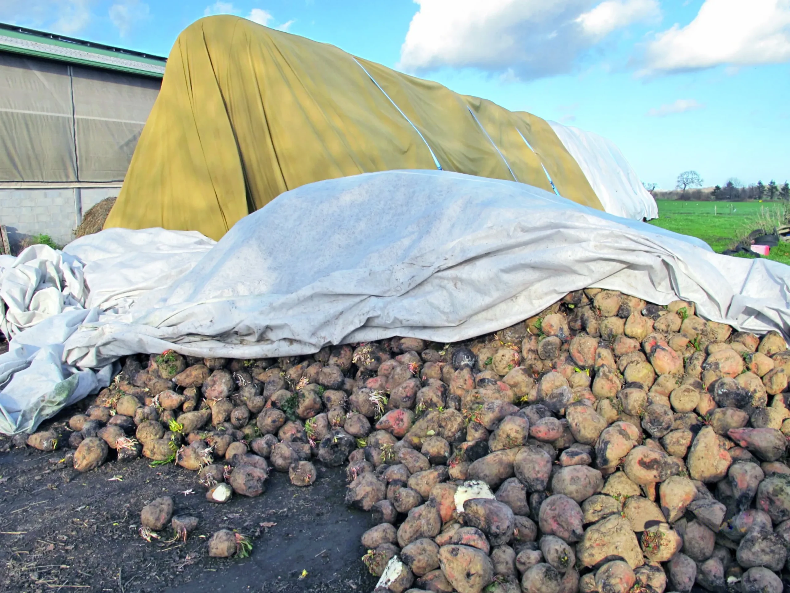 Baltäckningsduk Subtex gul 15,6x25m>Velitex Online