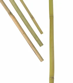 Bambukäpp Växtstöd 200cm 3-p>Nelson Garden Online
