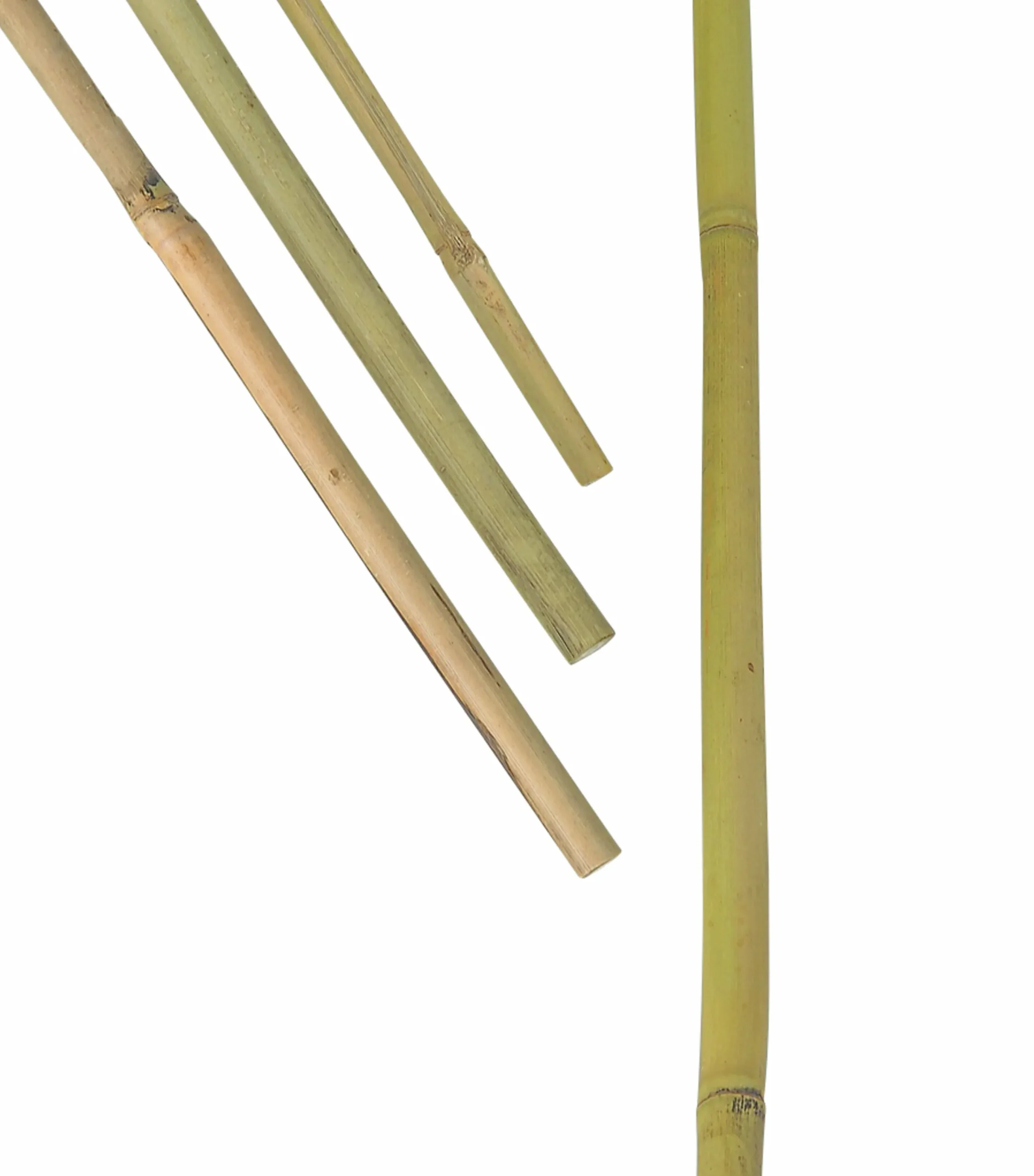 Bambukäpp Växtstöd 150cm 5-p>Nelson Garden Clearance