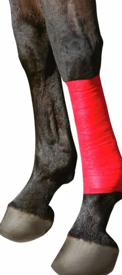 Bandage EquiLASTIC 5cmx4,5m Röd><noscript><img width=
