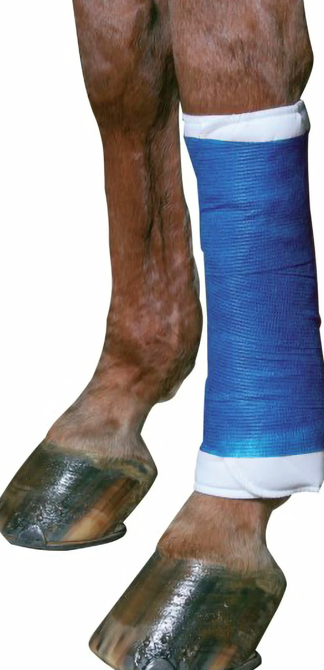 Bandage EquiLASTIC 5cmx4,5m Blå>Kerbl Hot