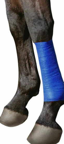 Bandage EquiLASTIC 5cmx4,5m Blå><noscript><img width=