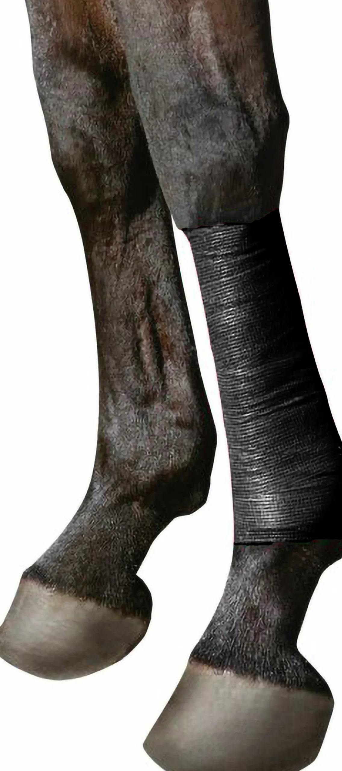 Bandage EquiLASTIC 5cmx4,5m Svart>Kerbl Clearance