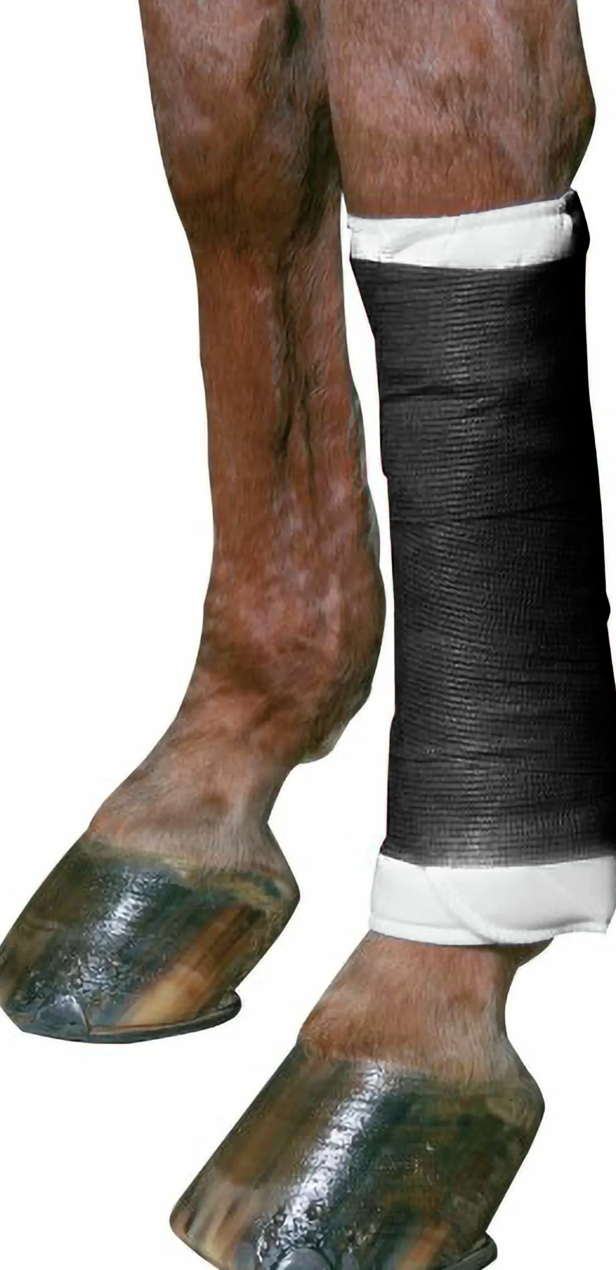 Bandage EquiLASTIC 5cmx4,5m Svart>Kerbl Clearance
