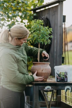 Biokol med vermikompost Biohumus Terra 5L>Nelson Garden Clearance