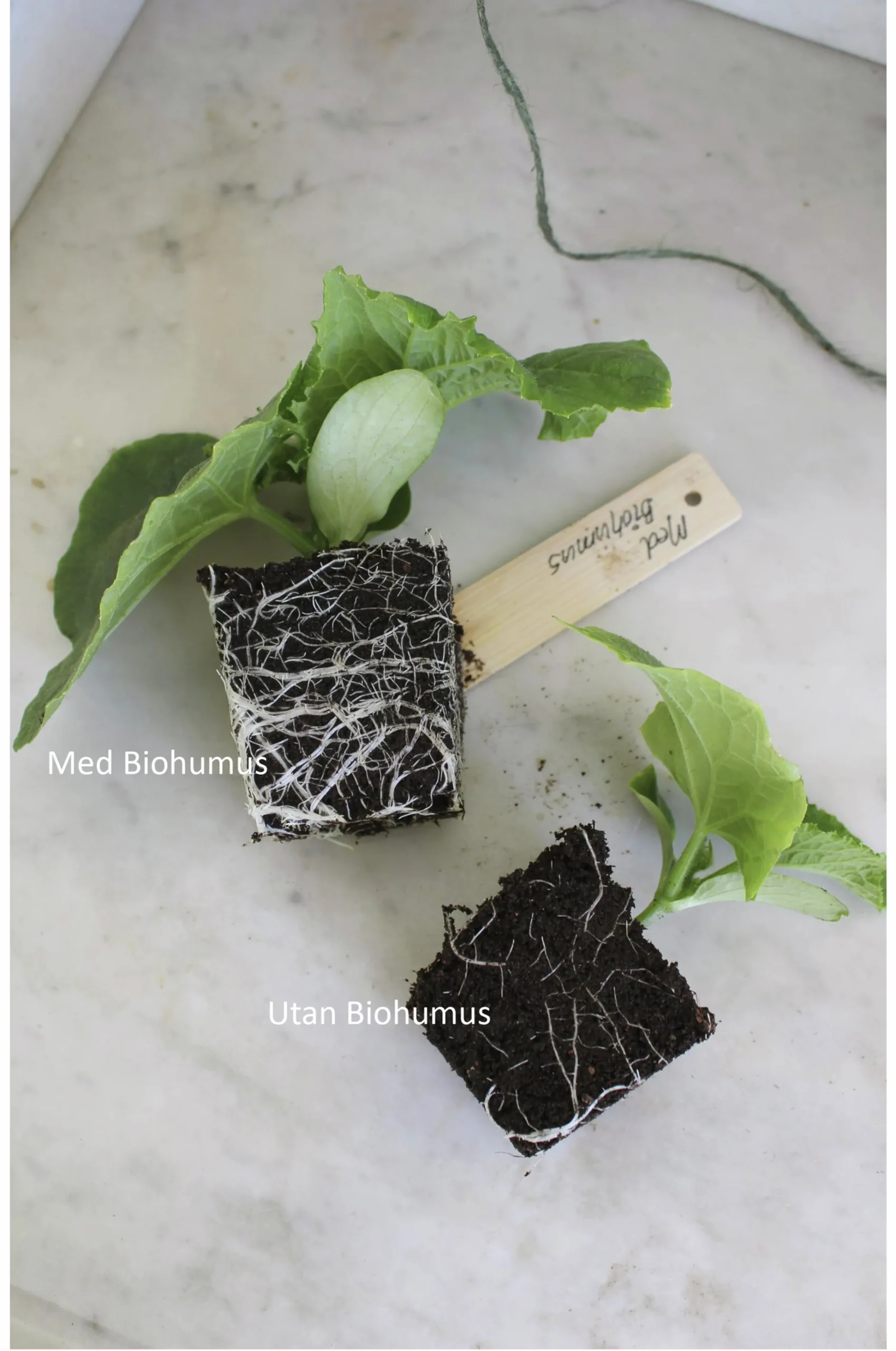 Biokol med vermikompost Biohumus Terra 5L>Nelson Garden Clearance