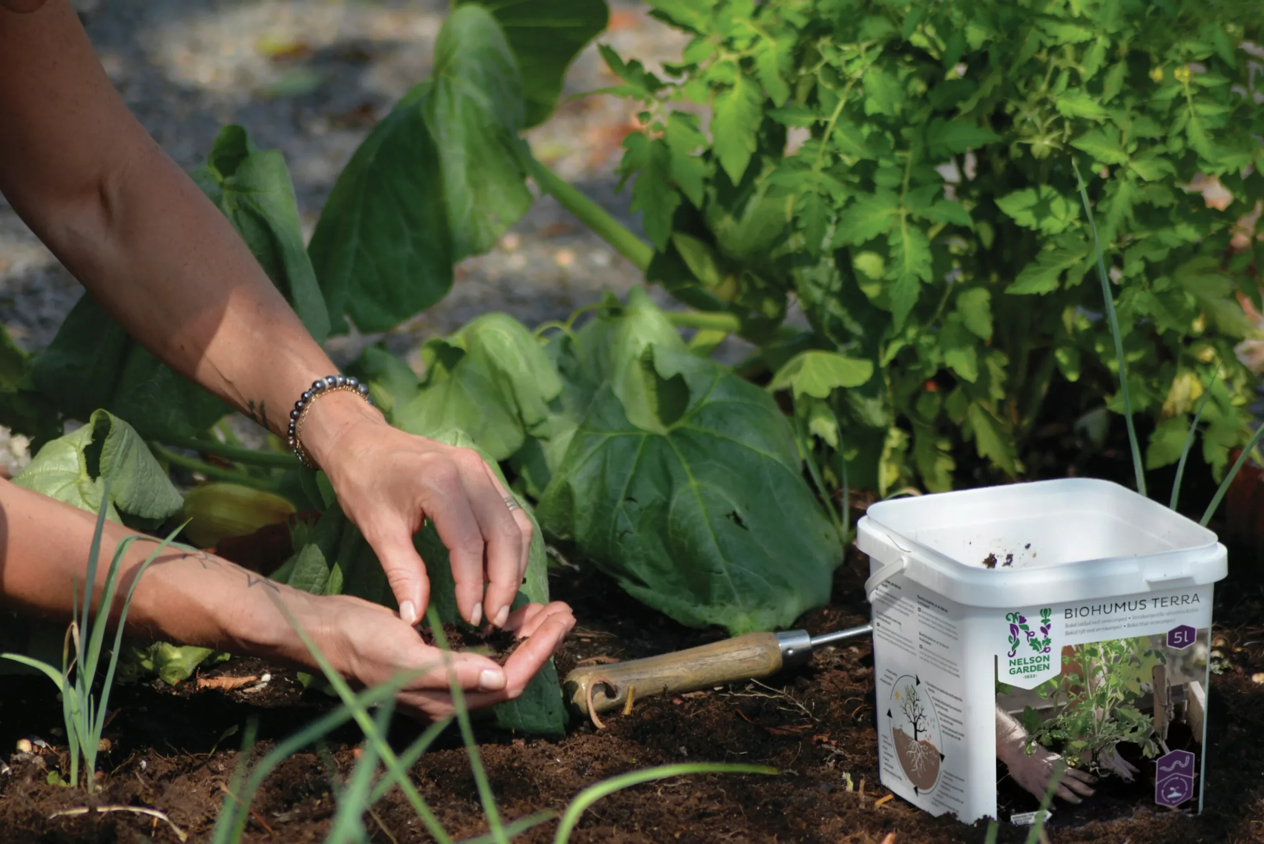 Biokol med vermikompost Biohumus Terra 5L>Nelson Garden Clearance