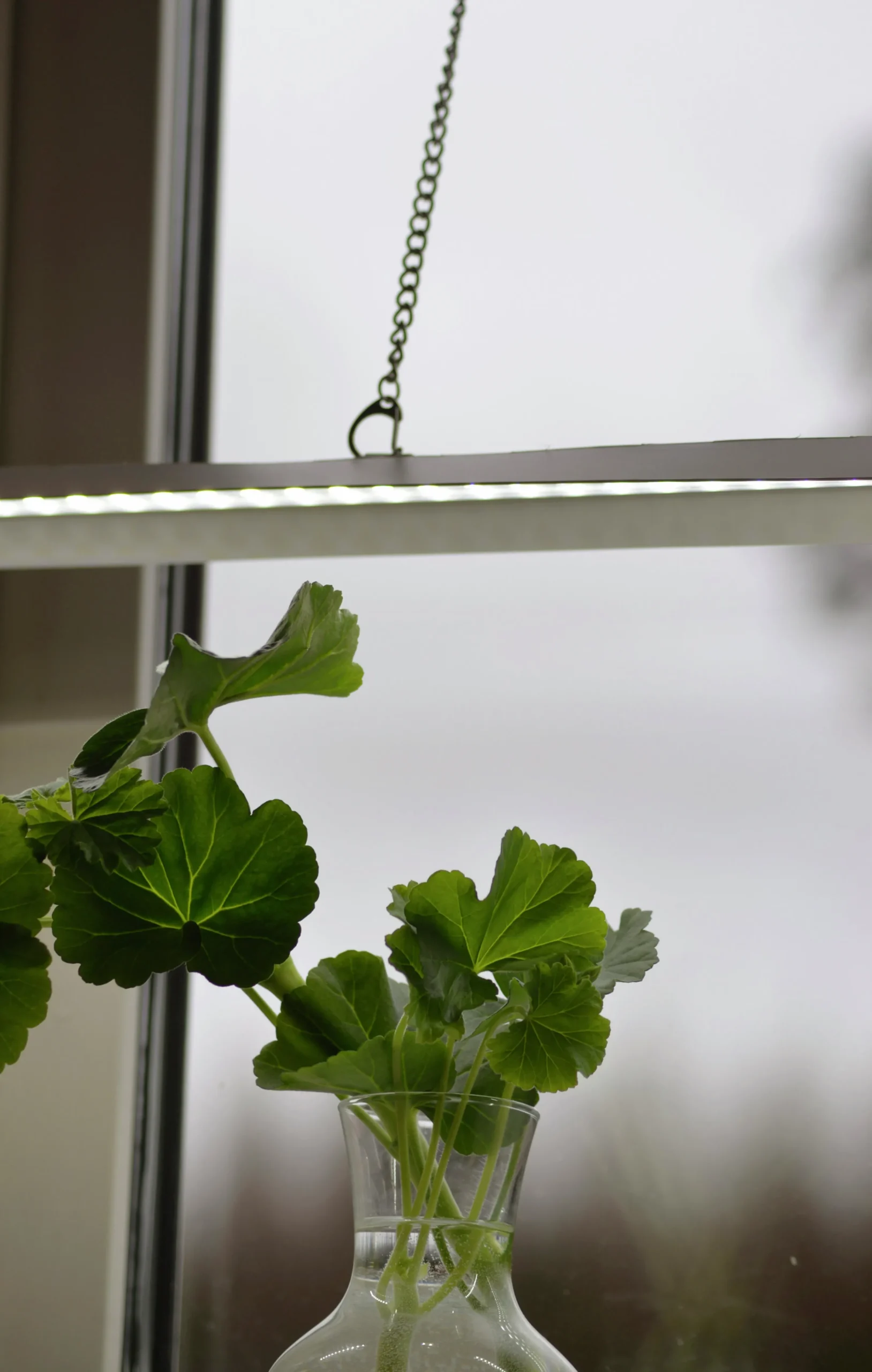 Bländskydd till LED-ramp>Nelson Garden Outlet