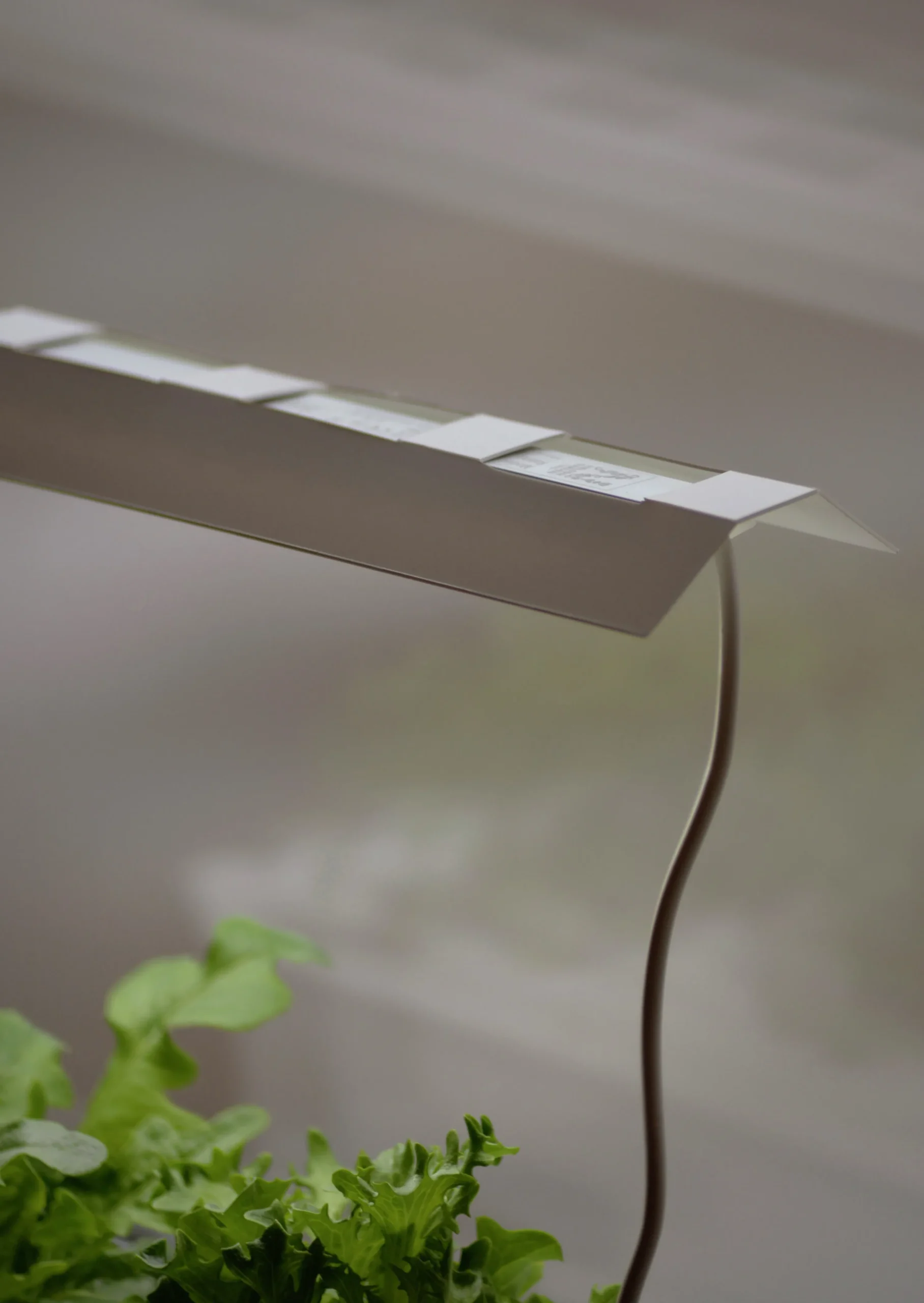 Bländskydd till LED-ramp>Nelson Garden Outlet