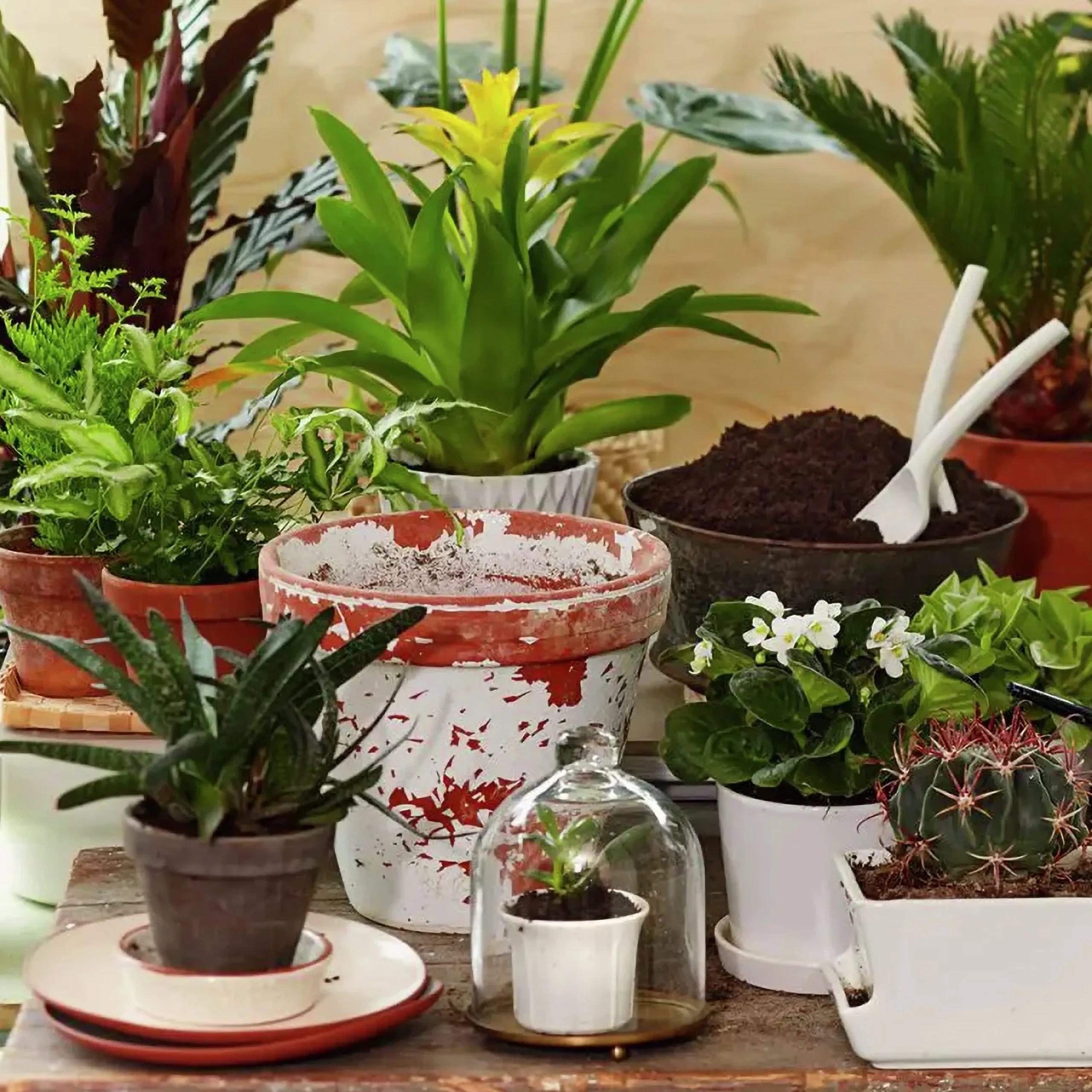 Blomjord Hasselfors 40L>Hasselfors Garden Clearance
