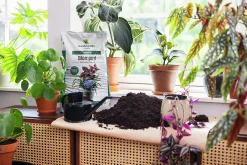 Blomjord Hasselfors Torvfri 10L>Hasselfors Garden Sale