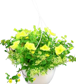 Blommande ampel Nyans 27cm><noscript><img width=