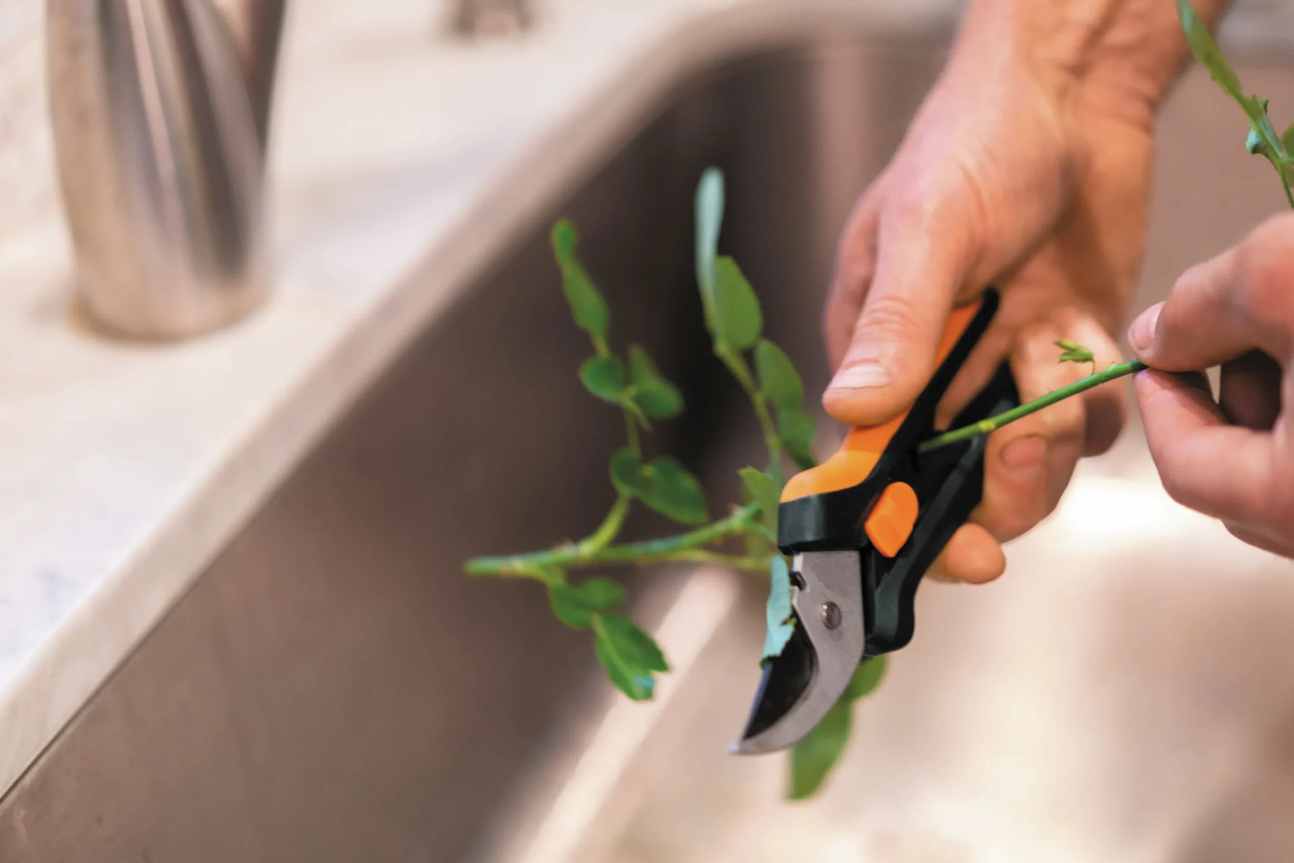 Blomsax SP14 Solid Snip>Fiskars Best