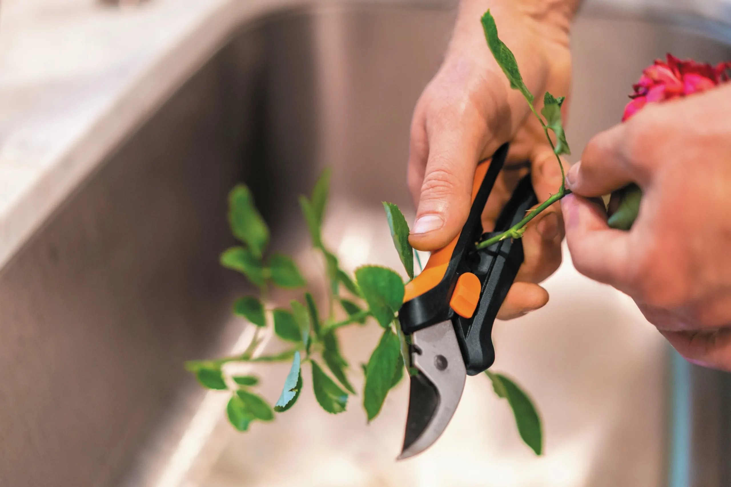 Blomsax SP14 Solid Snip>Fiskars Best