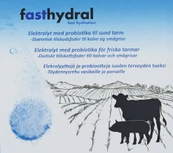 Brustablett Fasthydral Vätskeersättning 2x21-p>Pharmaxim New