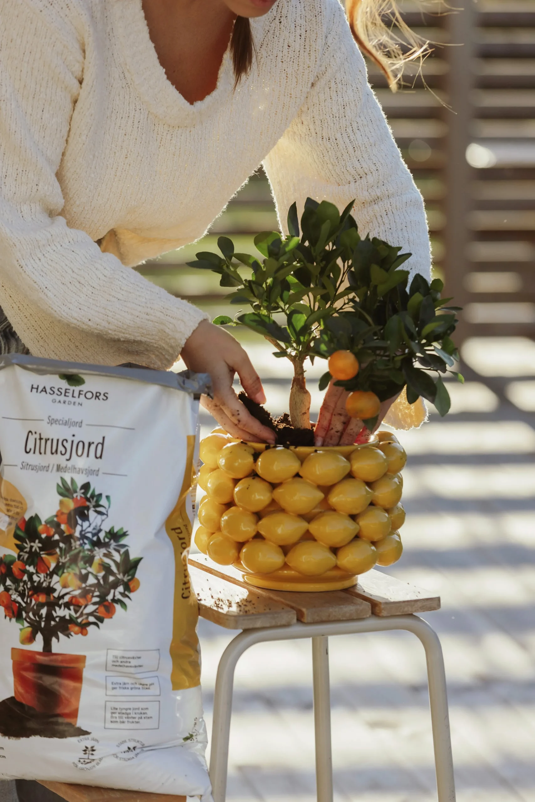 Citrusjord Medelhavsjord Hasselfors 15L>Hasselfors Garden Best