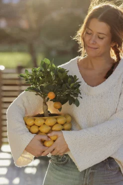 Citrusjord Medelhavsjord Hasselfors 15L><noscript><img width=
