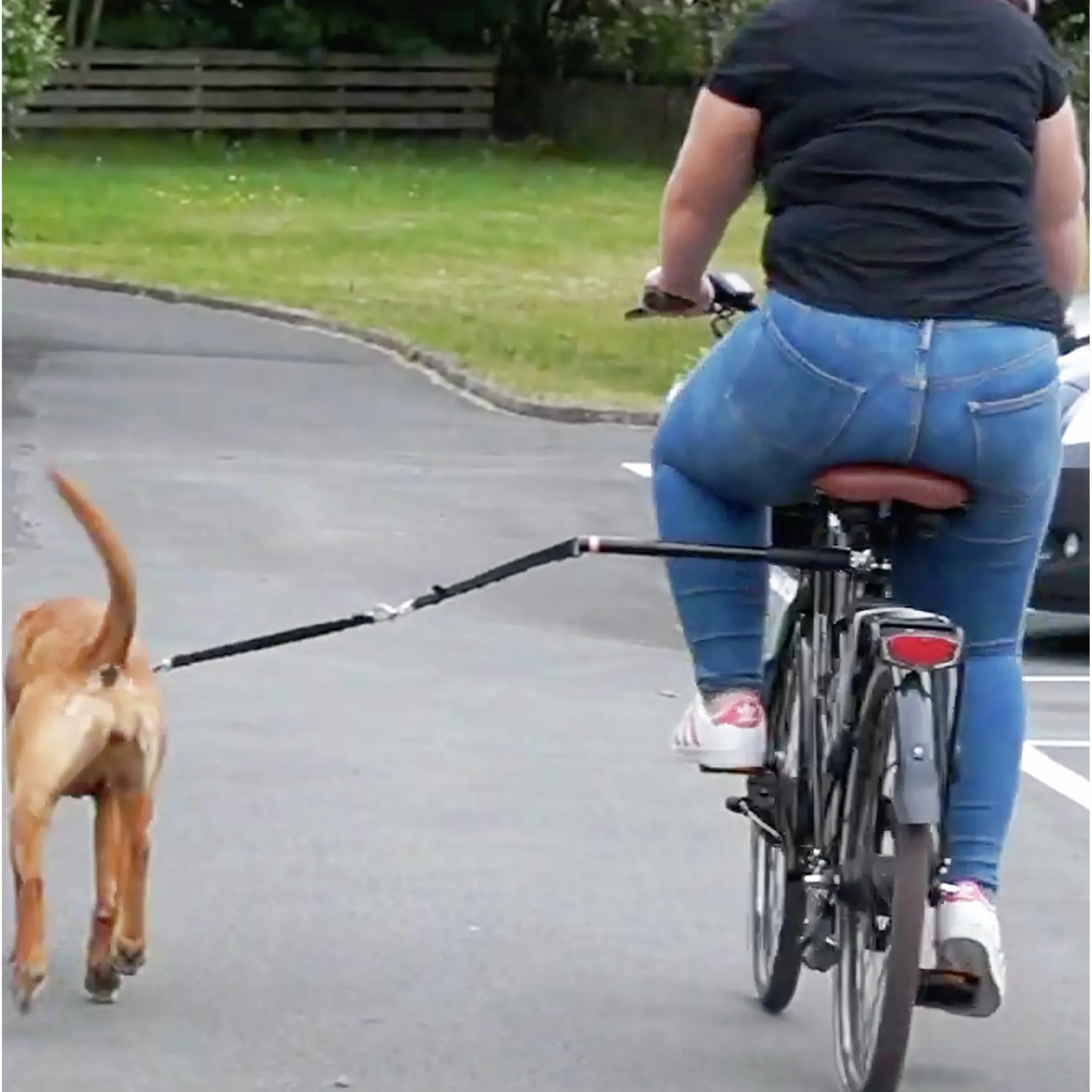 Cykelfäste med koppel>Active Canis