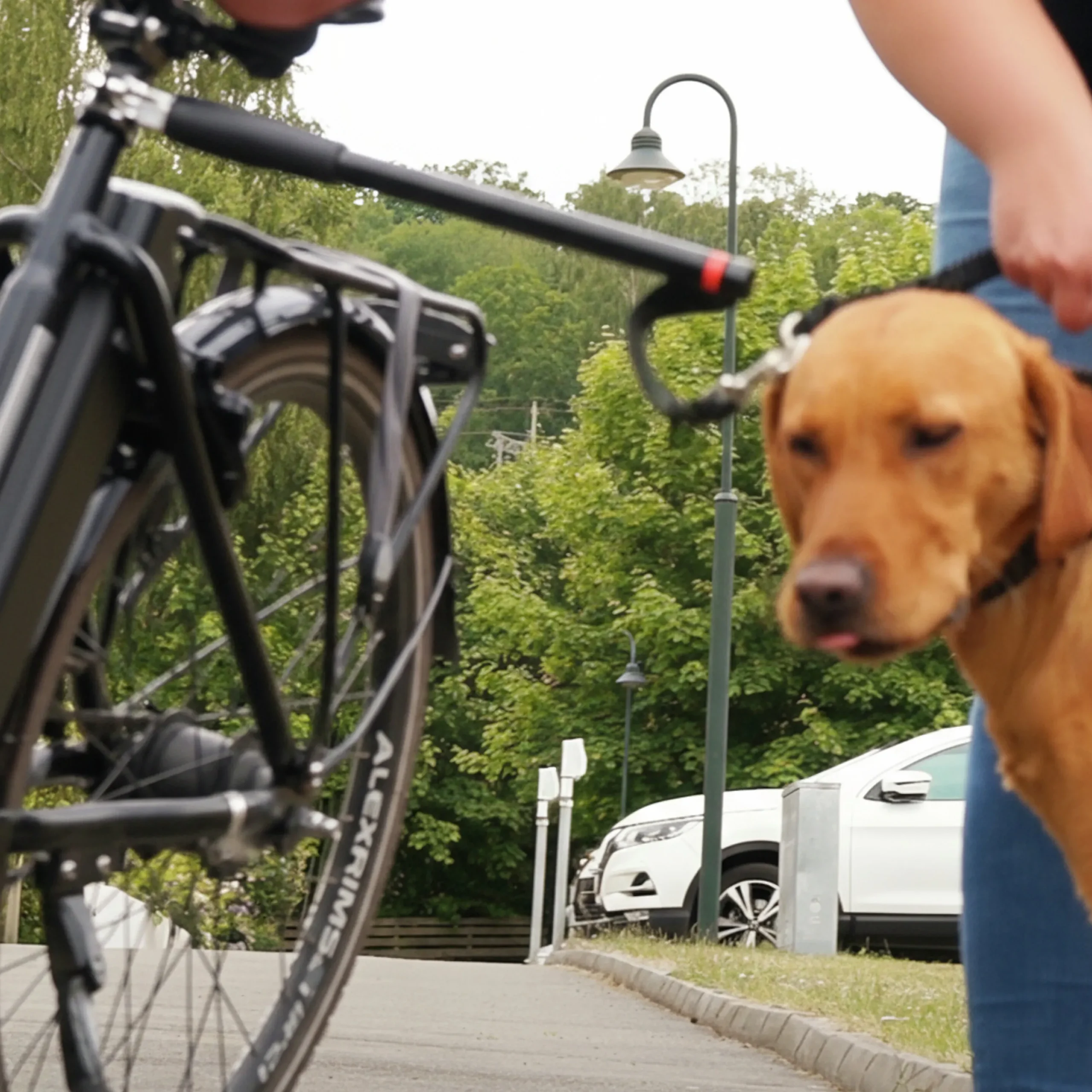 Cykelfäste med koppel>Active Canis