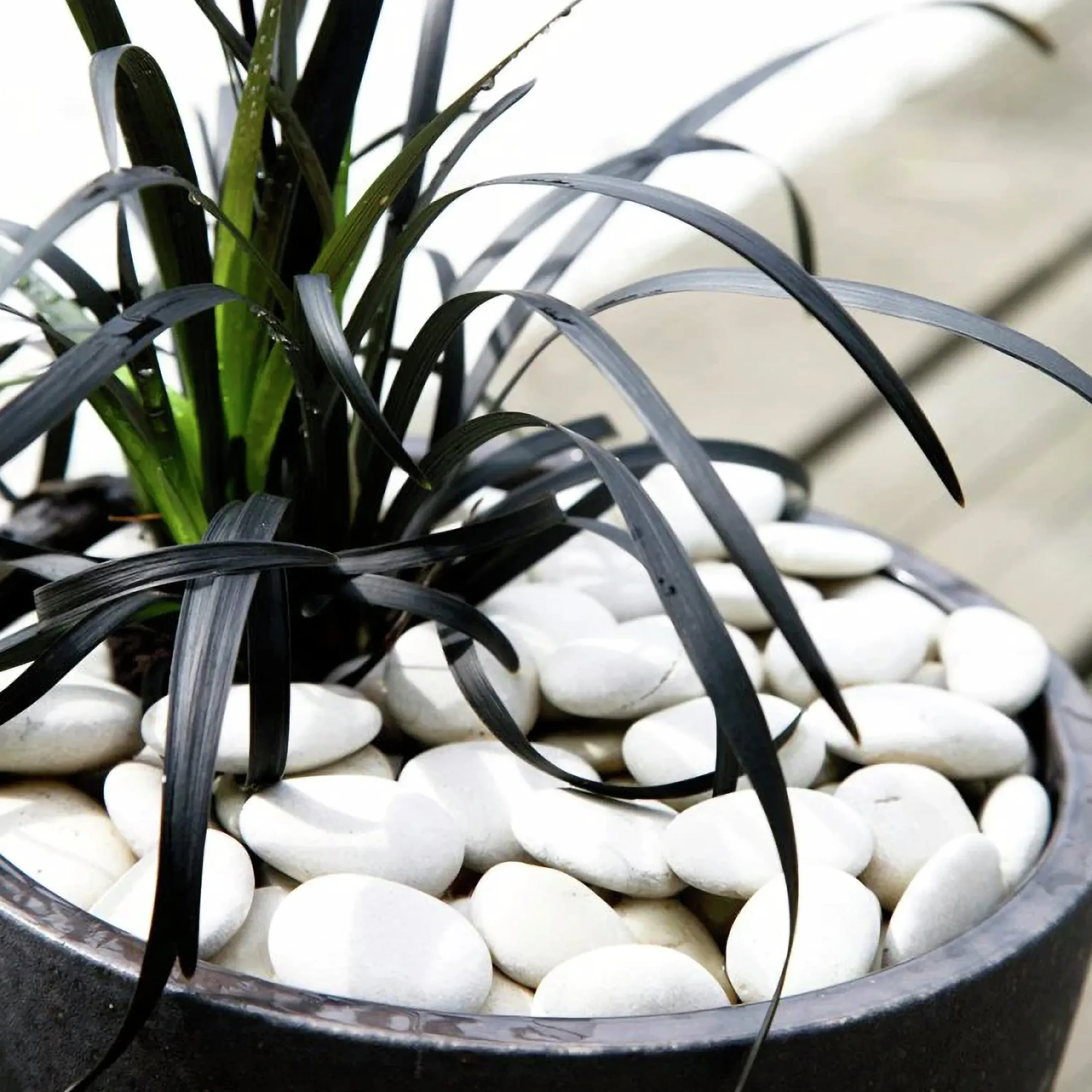 Dekorsten Hasselfors Vita pebbles 7kg>Hasselfors Garden Discount