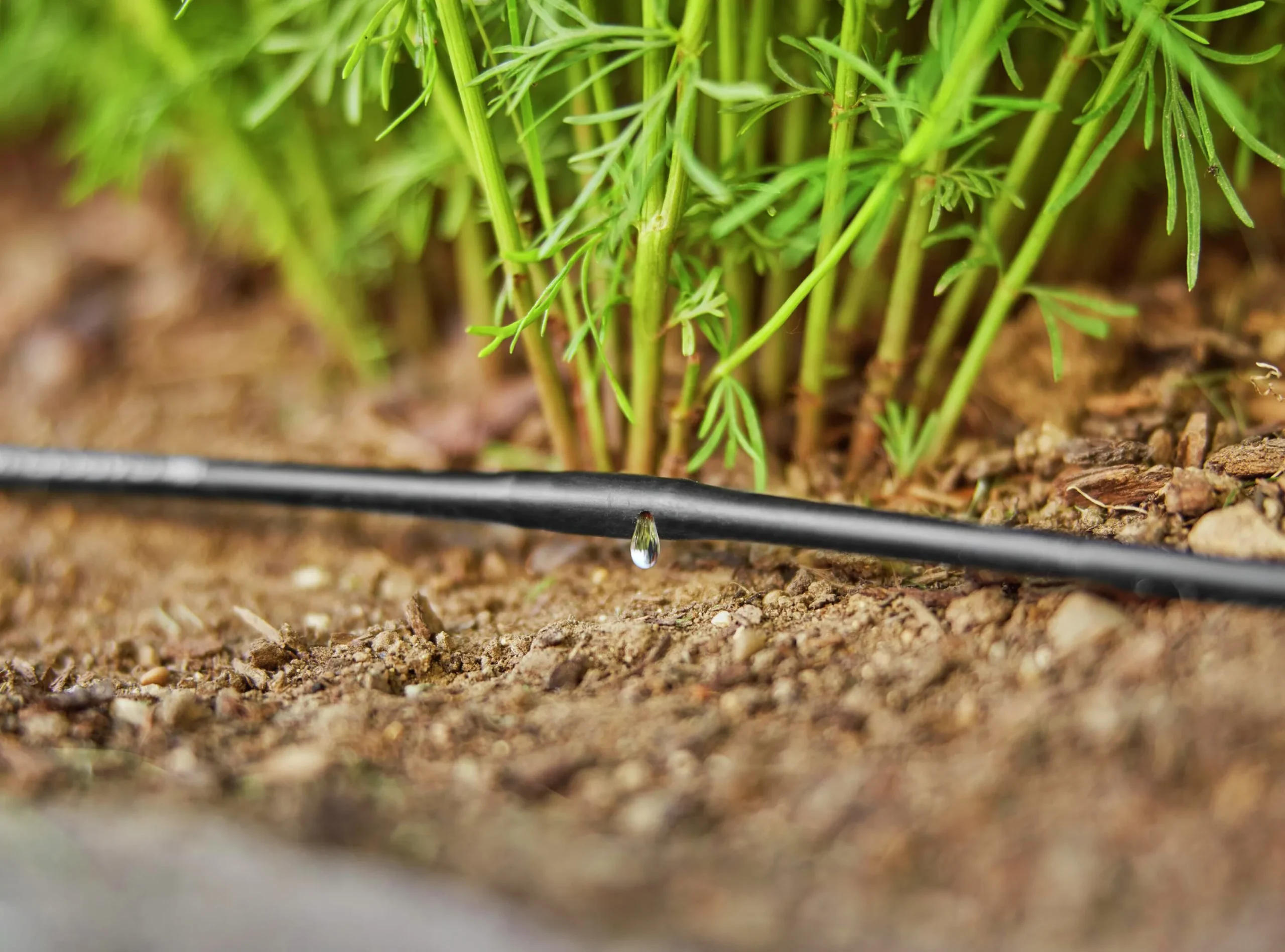 Droppbevattning MicroDrip Startset Plantrader 15m>Gardena Sale