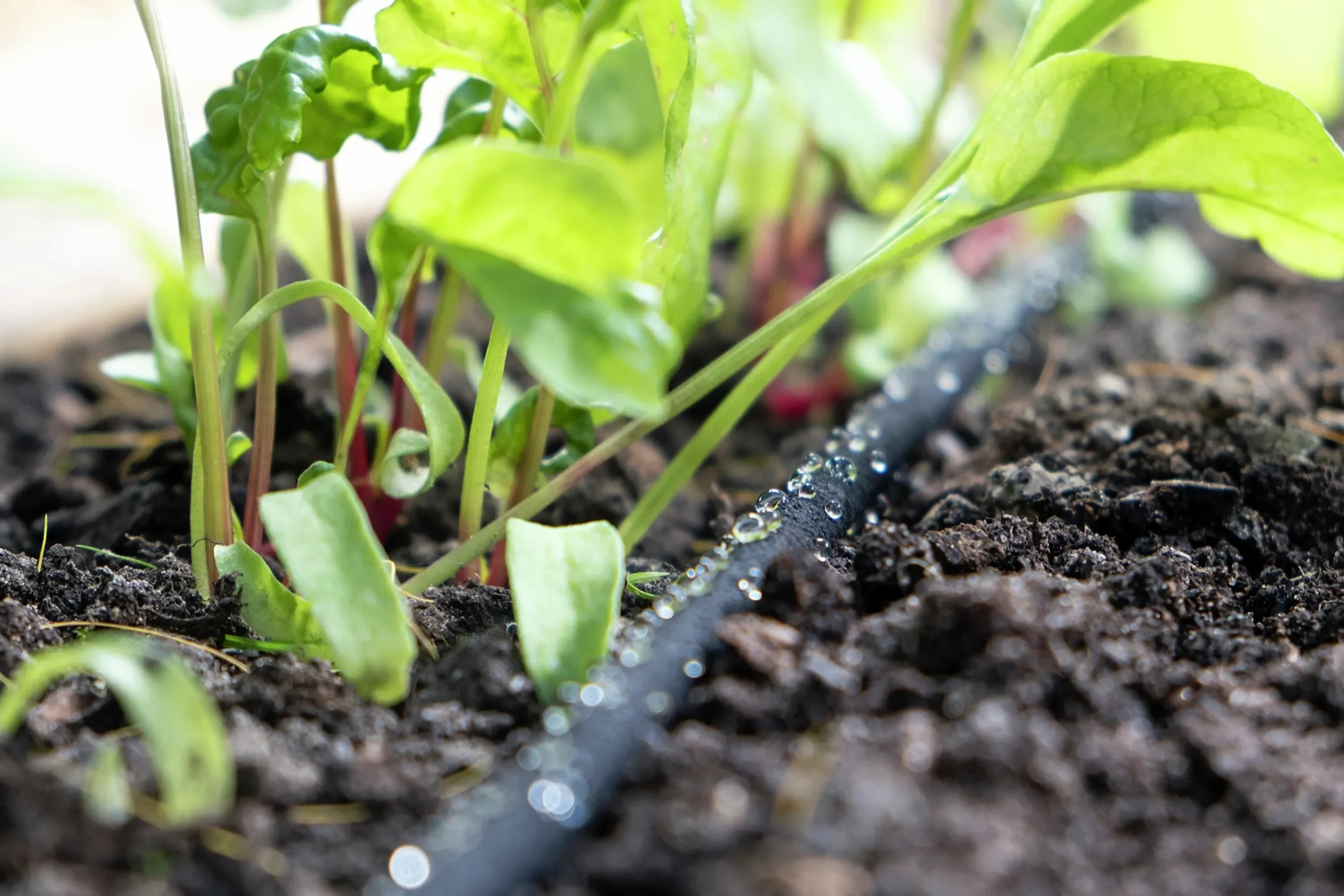 Droppbevattningssystem EcoAqua S24 Solcell 24 munstycken>GreenLine Online