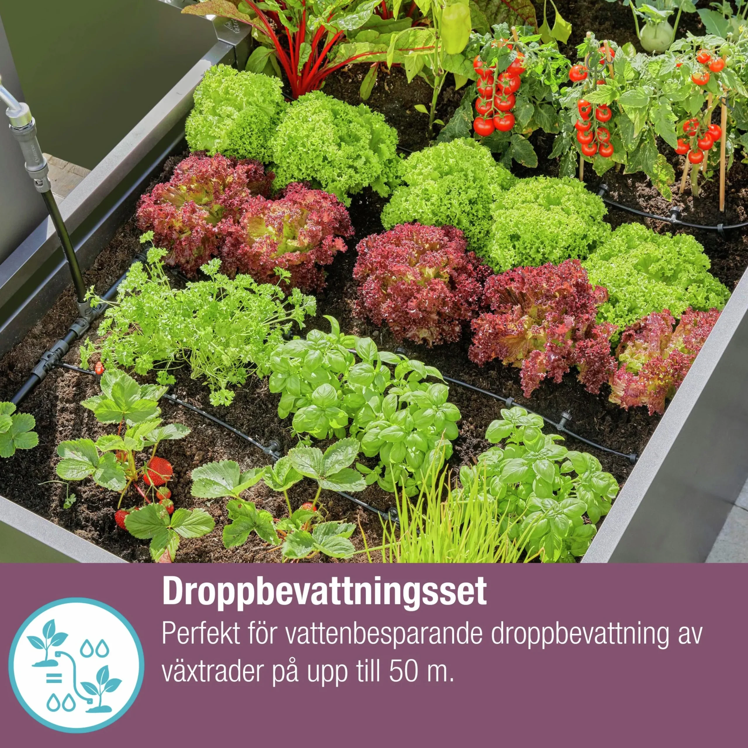 Droppslang MicroDrip Startset Häckar/Buskar 50m>Gardena Online
