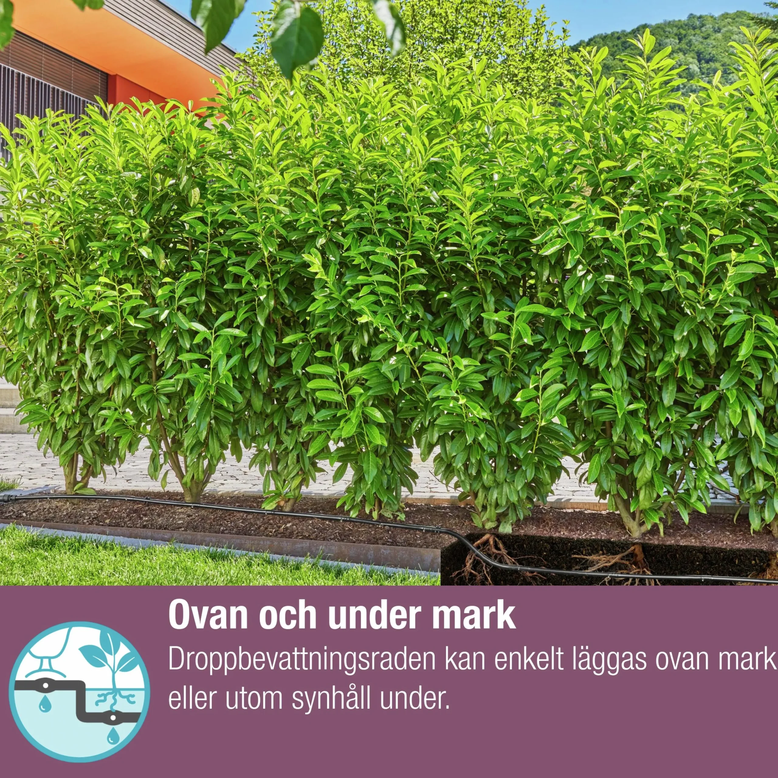 Droppslang MicroDrip Startset Häckar/Buskar 50m>Gardena Online