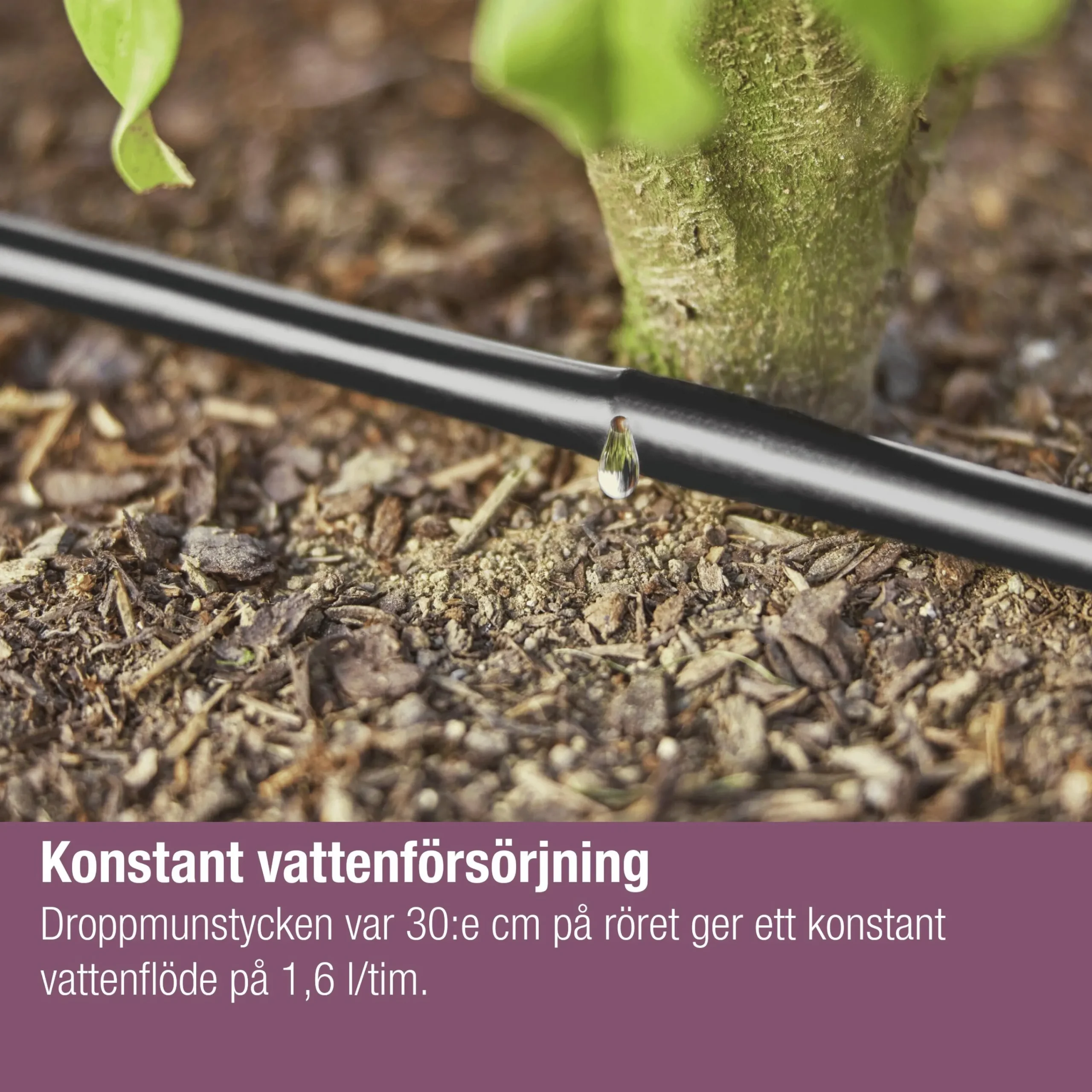 Droppslang MicroDrip Ovan/Under jord Set 25m>Gardena Best