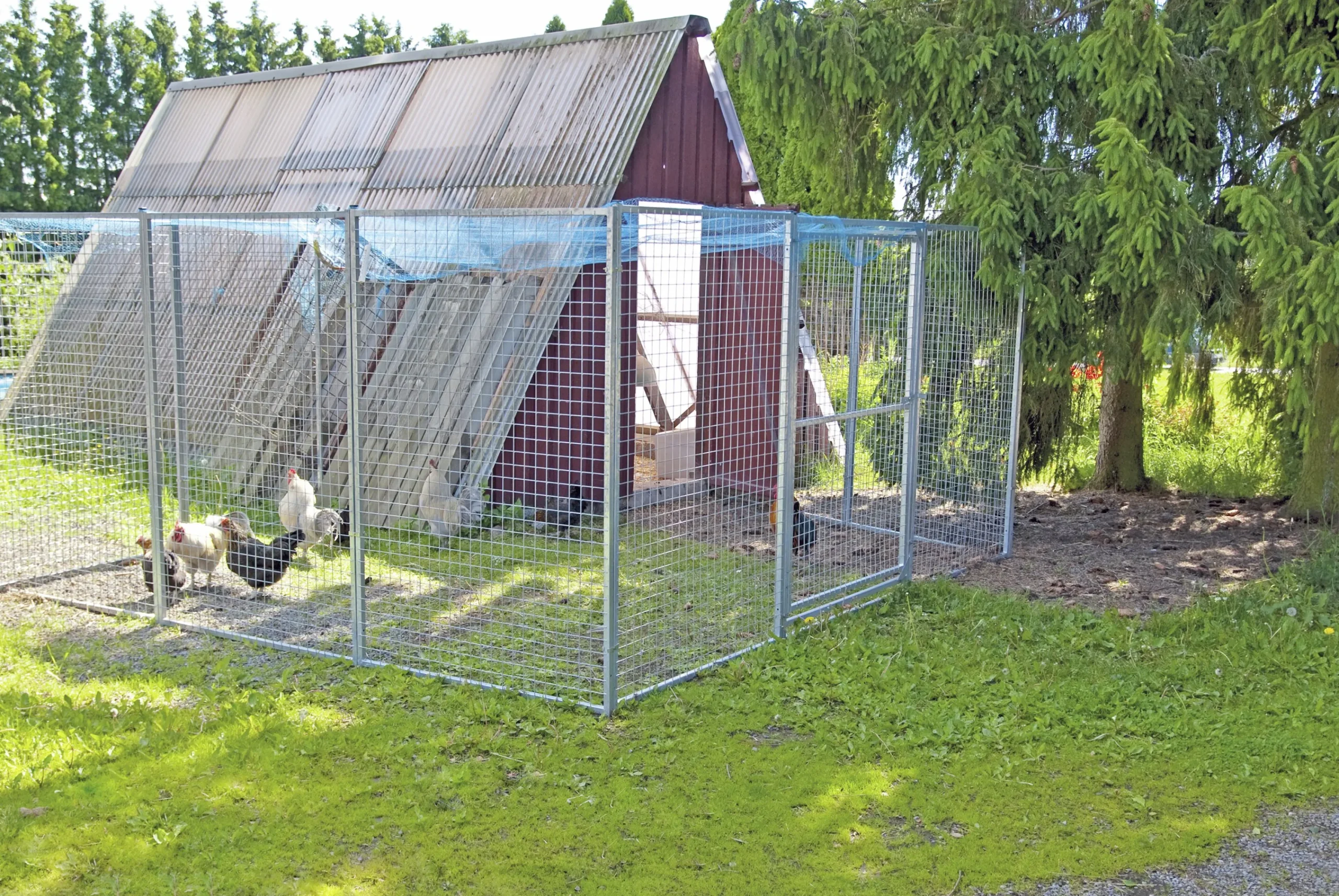 Dörrsektion till hundgård 120x180cm>Halsäng Stängsel Discount