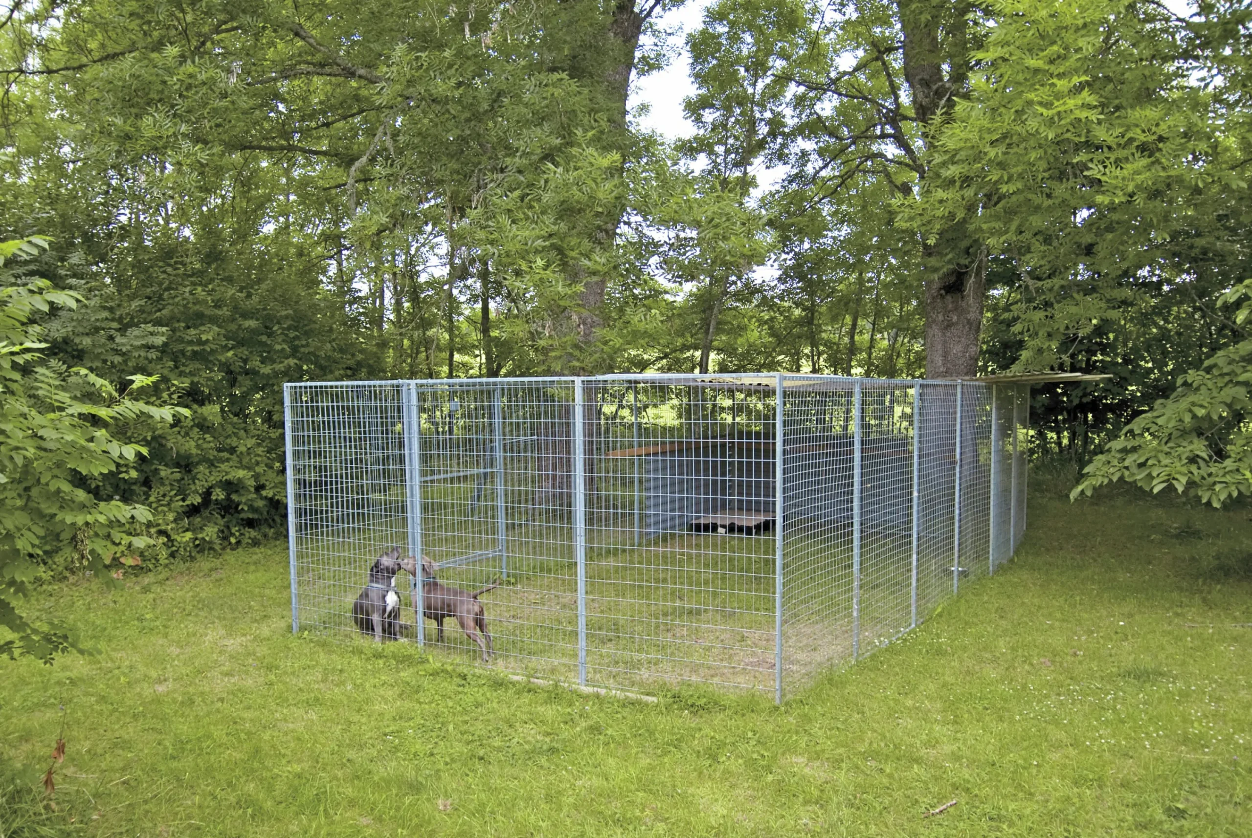 Dörrsektion till hundgård 120x180cm>Halsäng Stängsel Discount