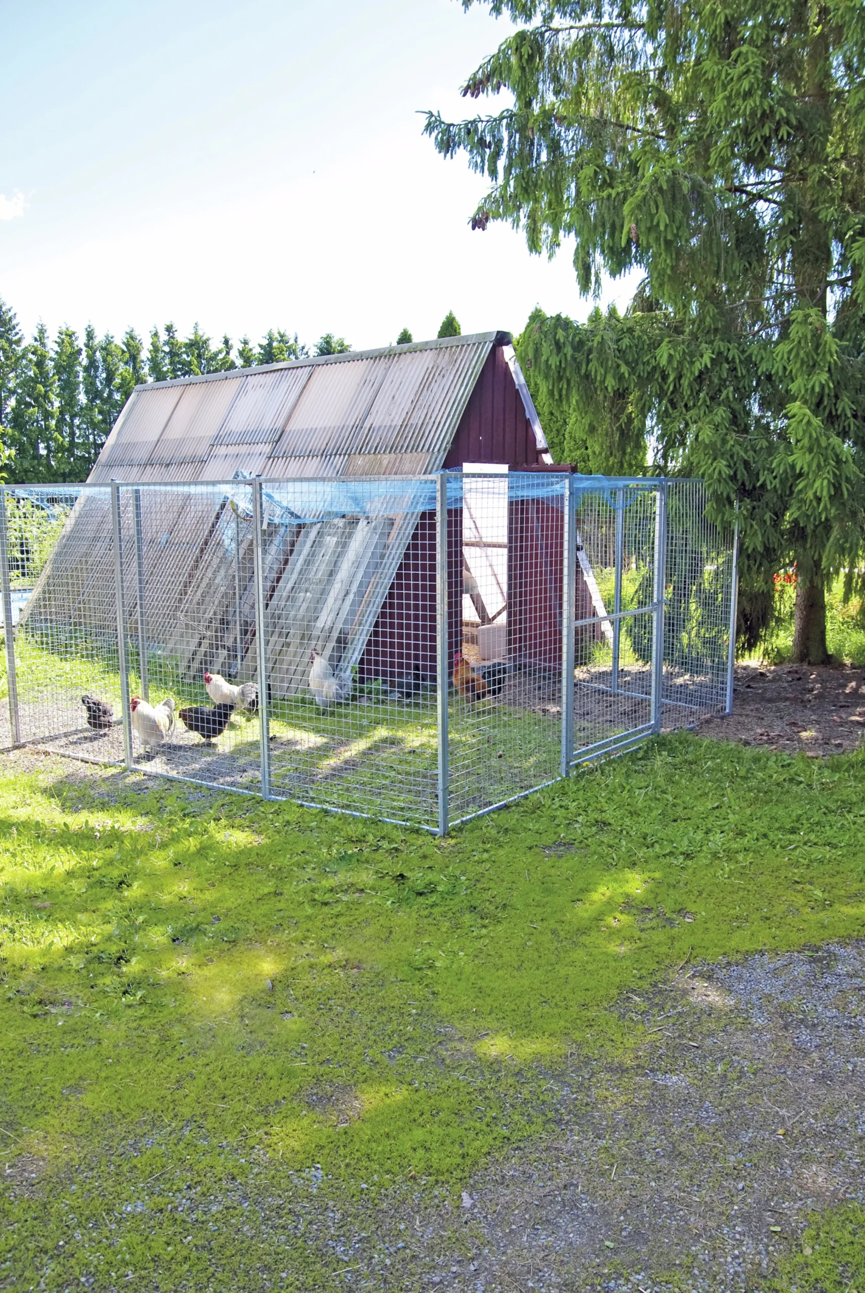 Dörrsektion till hundgård 120x180cm>Halsäng Stängsel Discount