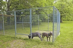 Dörrsektion till hundgård 120x180cm><noscript><img width=