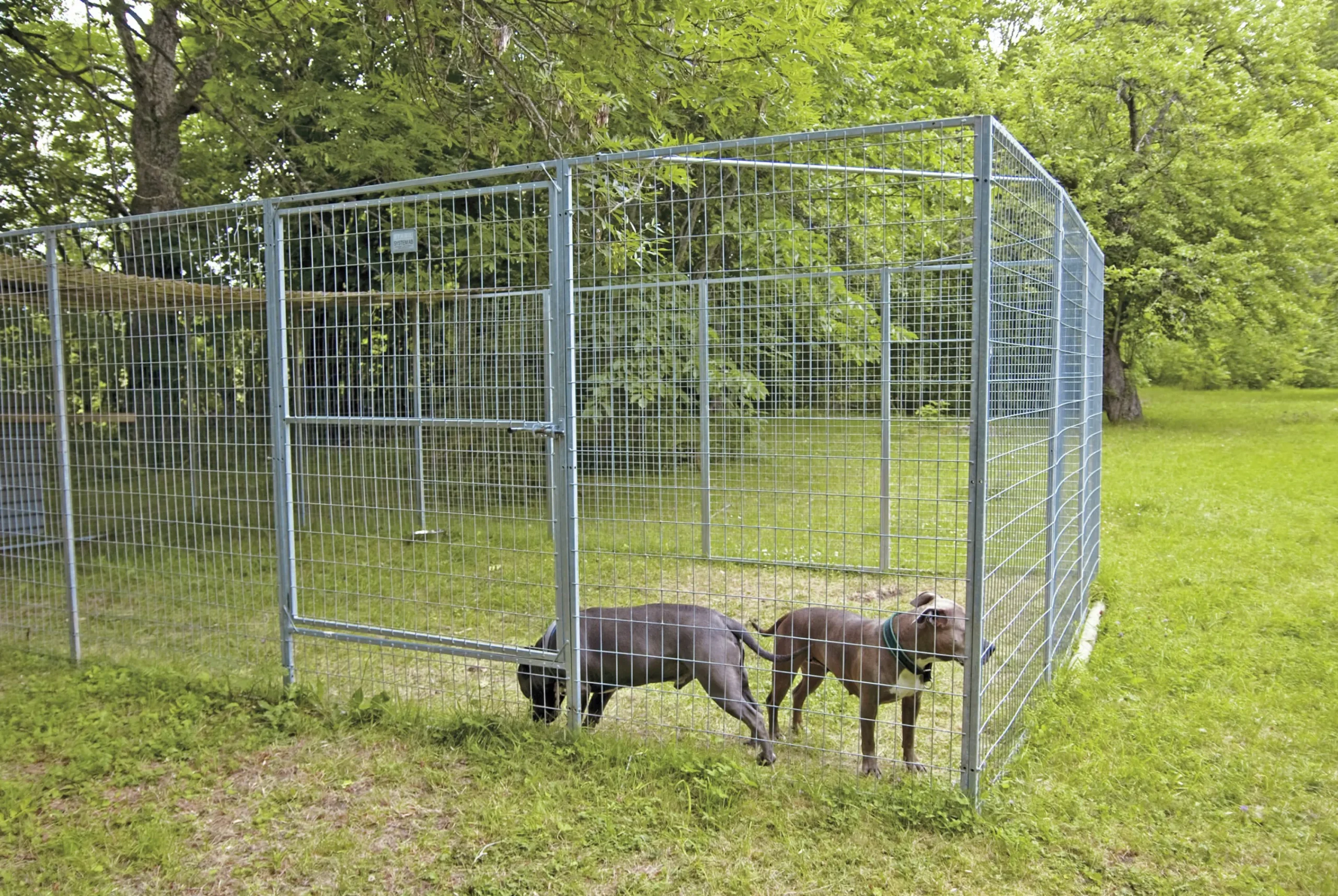 Dörrsektion till hundgård 120x180cm>Halsäng Stängsel Discount